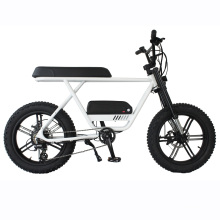 20 inch 11.6Ah lithium battery electric fat tire e bicycle
